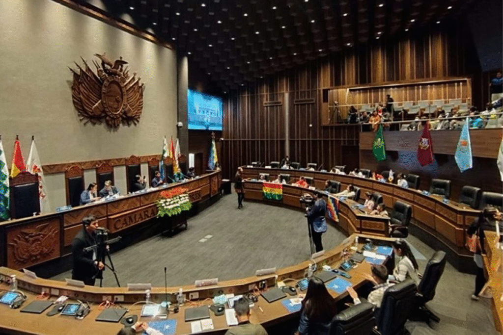 Plurinational Committee children and adolescents at General Assembly in Bolivia